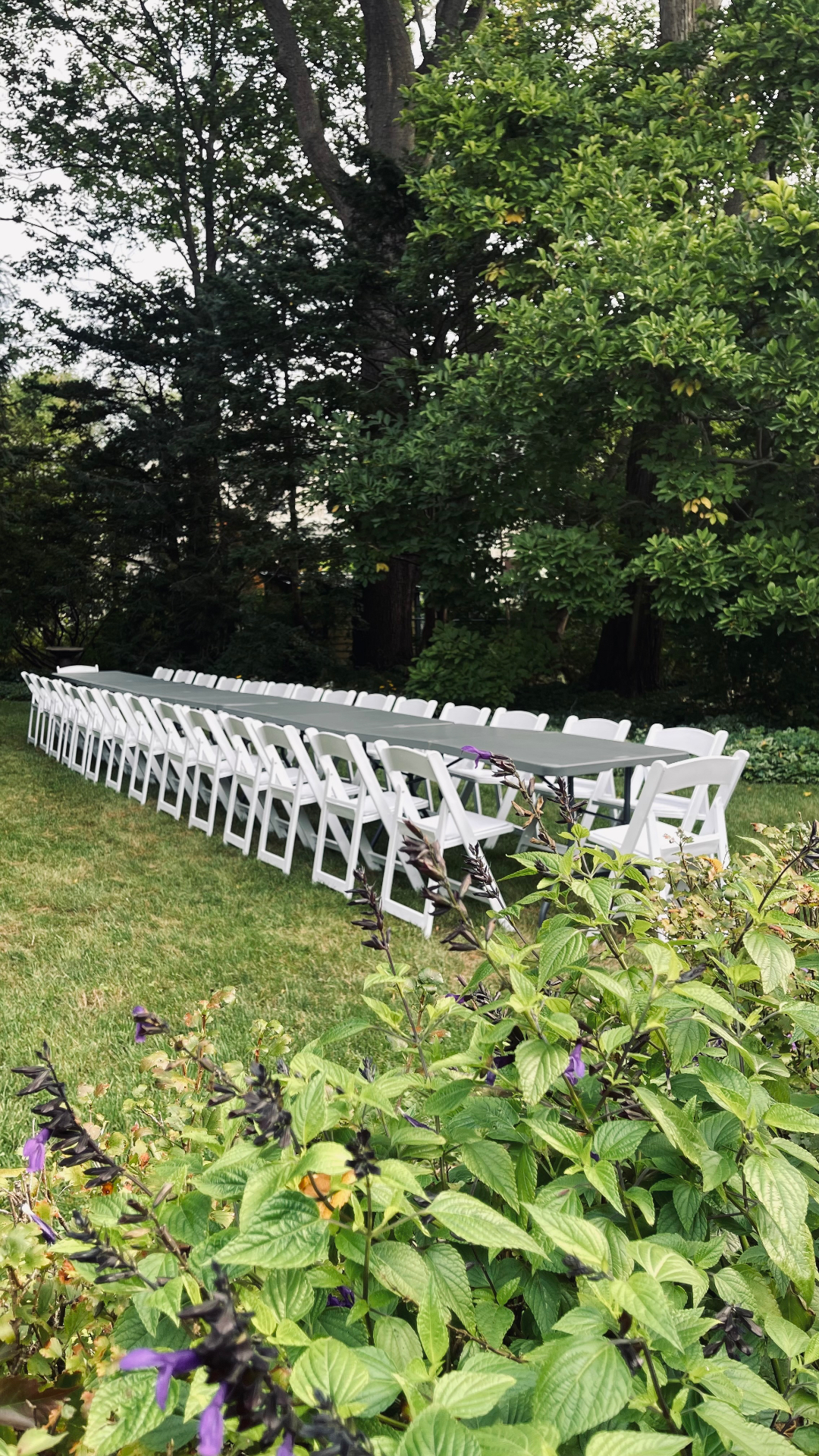 Tables and chairs arranged for an event in Hamilton