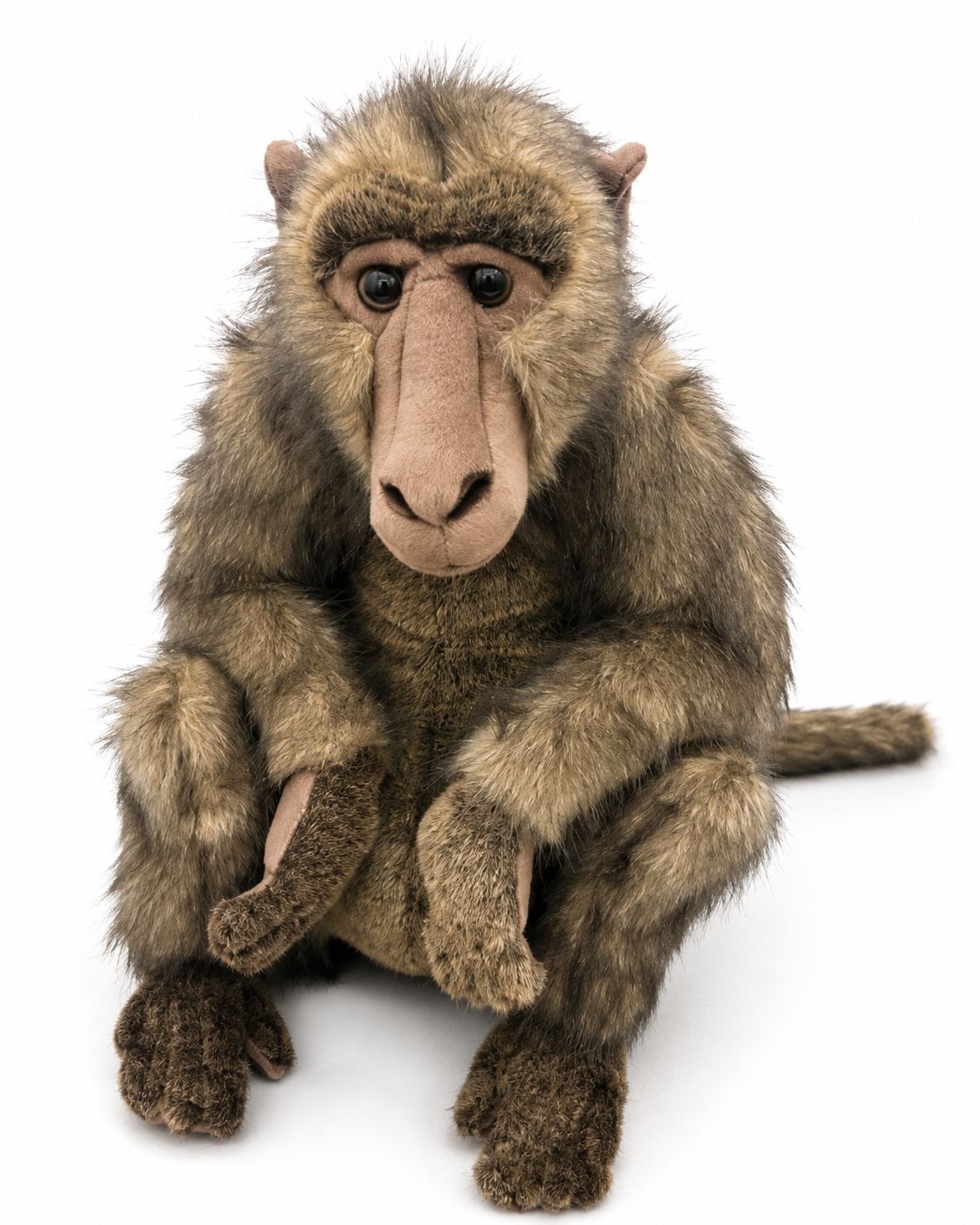 Baboon plush rental for jungle and safari parties in Hamilton