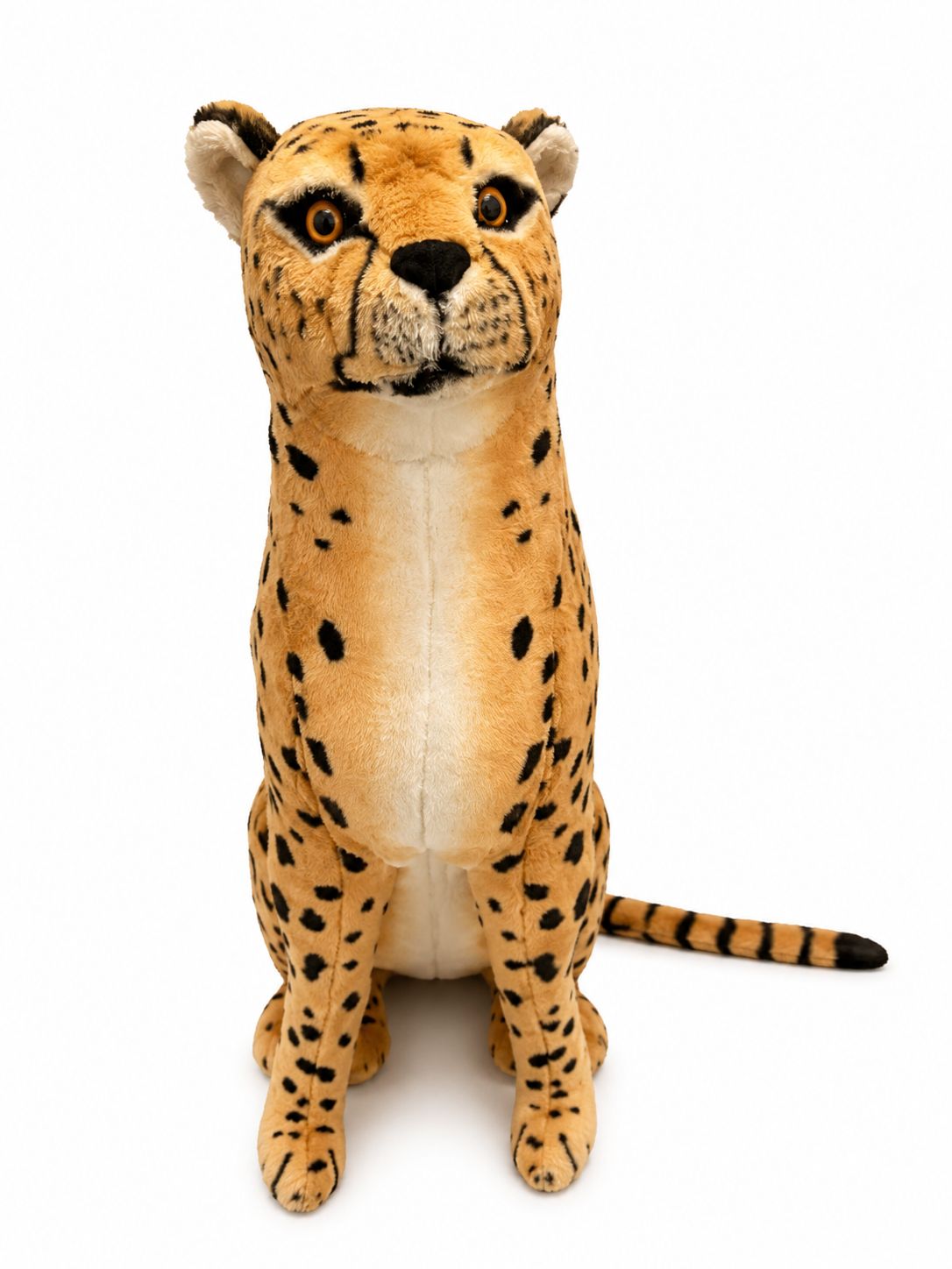 Cheetah plush rental for jungle and safari parties in Hamilton